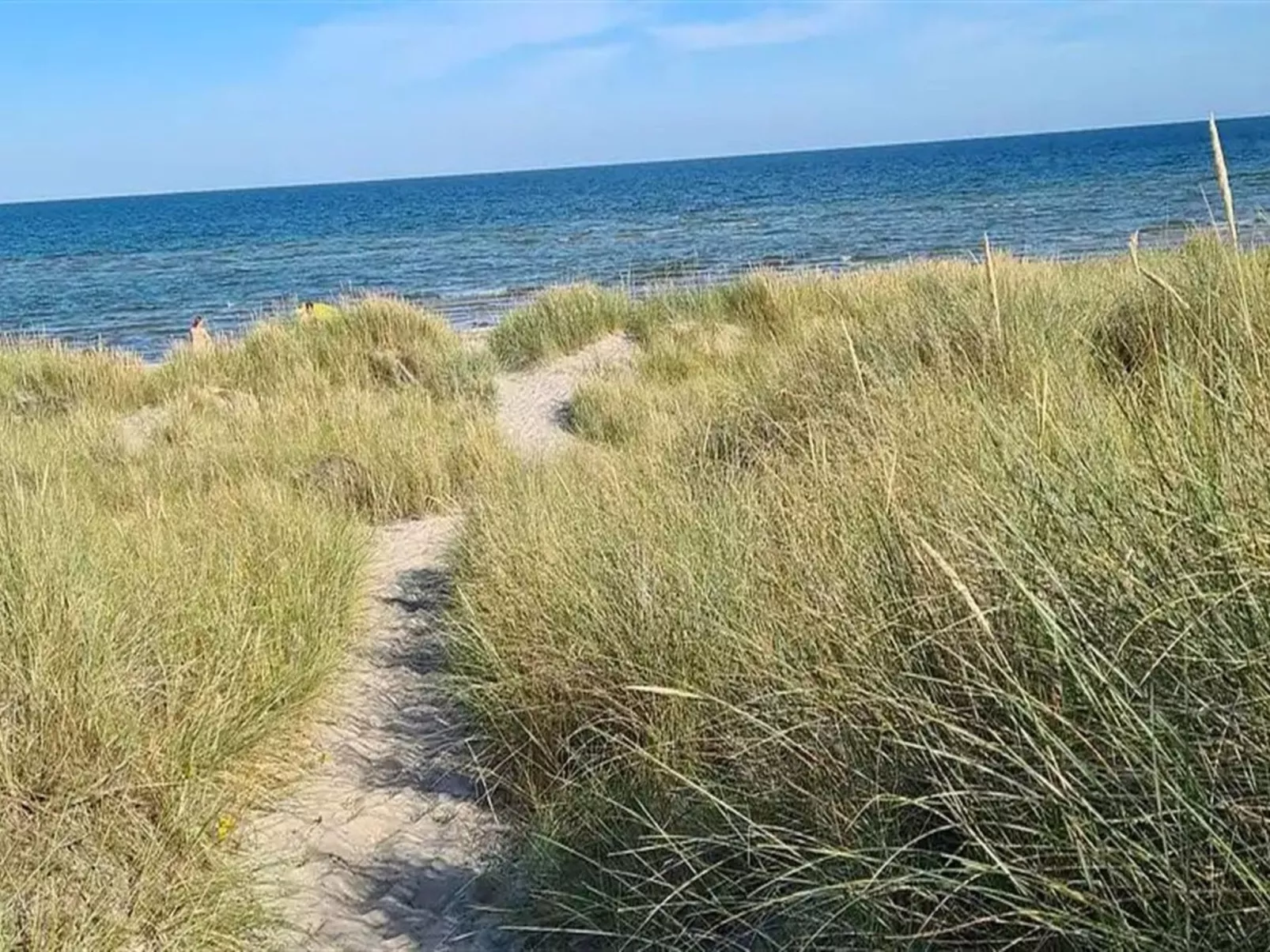 "Benja" -  from the sea - Dehors