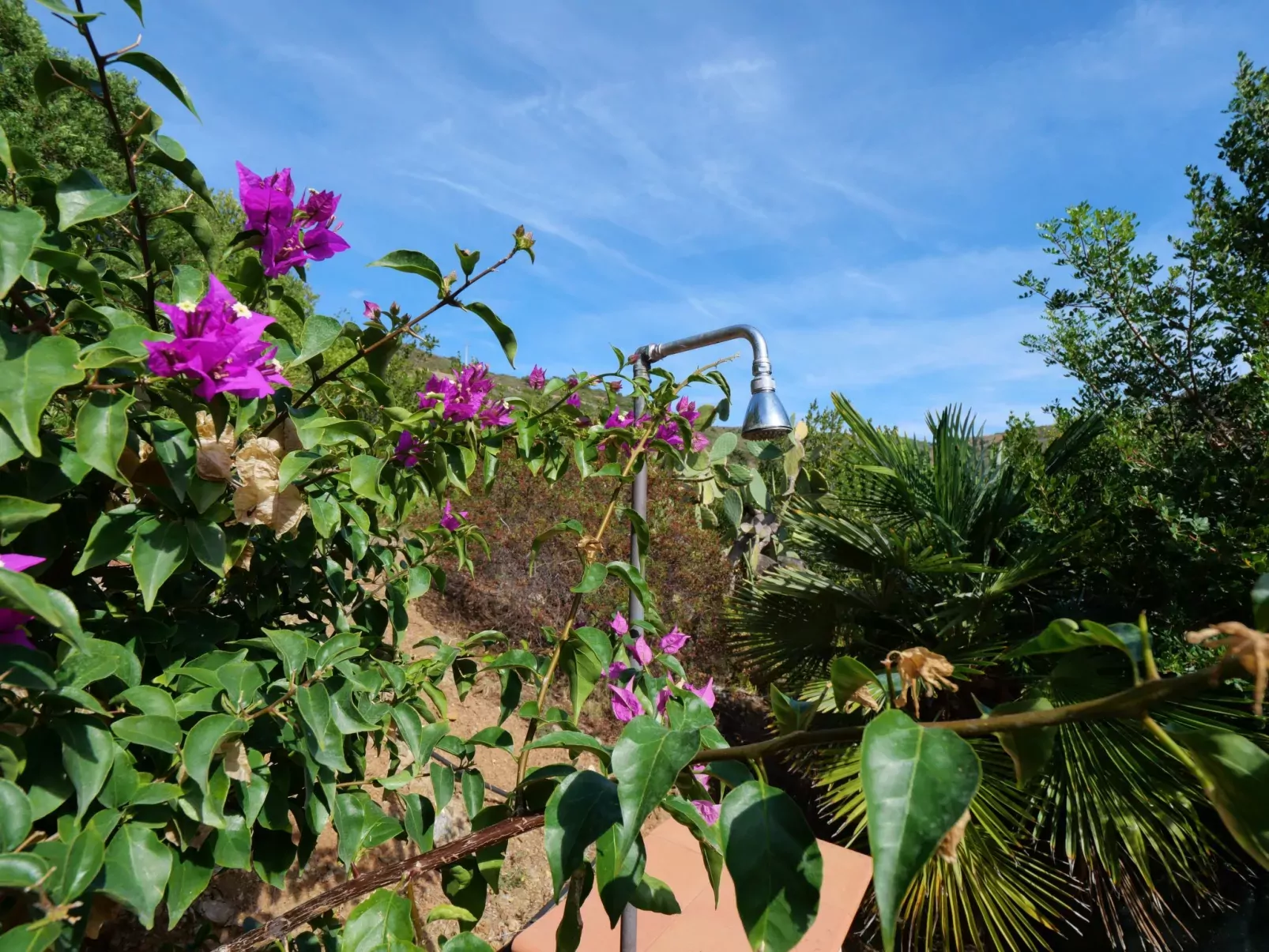 Panorama II-Draußen