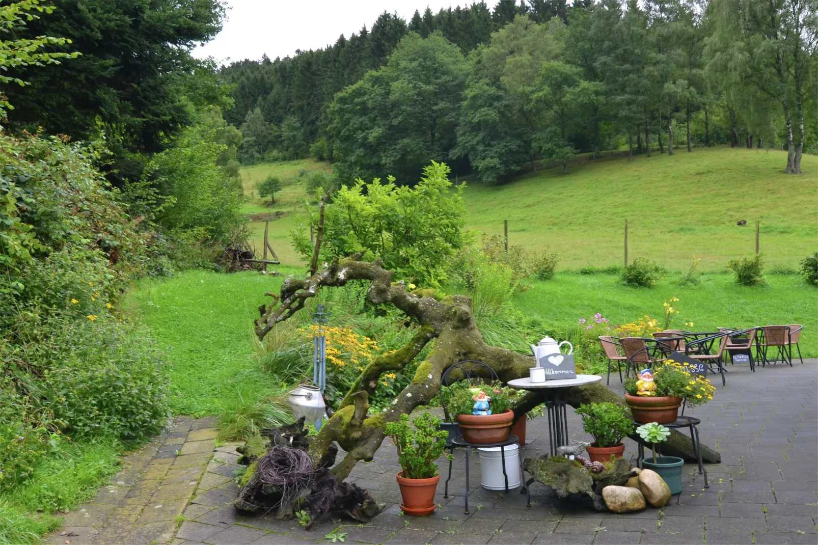 Am Damwildgehege - Garten Sommer