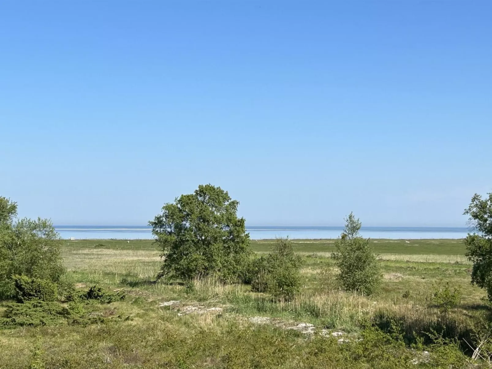 "Thorbiorn" -  from the sea - Draußen