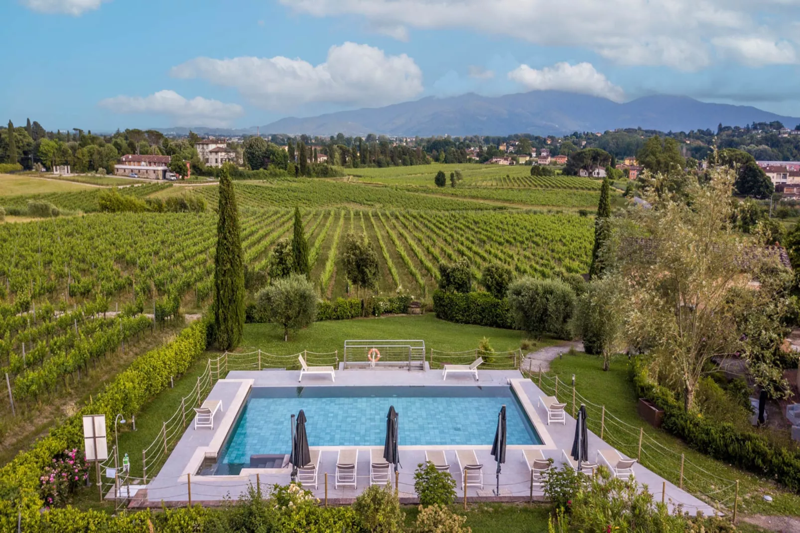 Maria Farmhouse Apartment in Wine Resort in Lucca - Schwimmbad