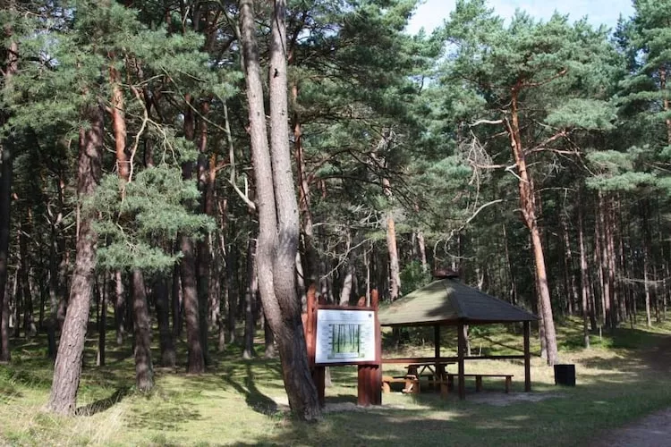 Apartament Malinka dla 4 osób - Areas within 1km in summer