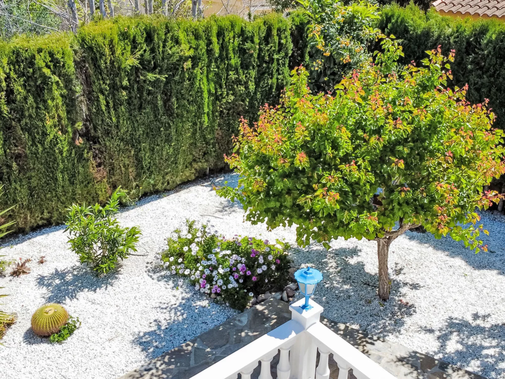 Villa Esmeralda - Dehors