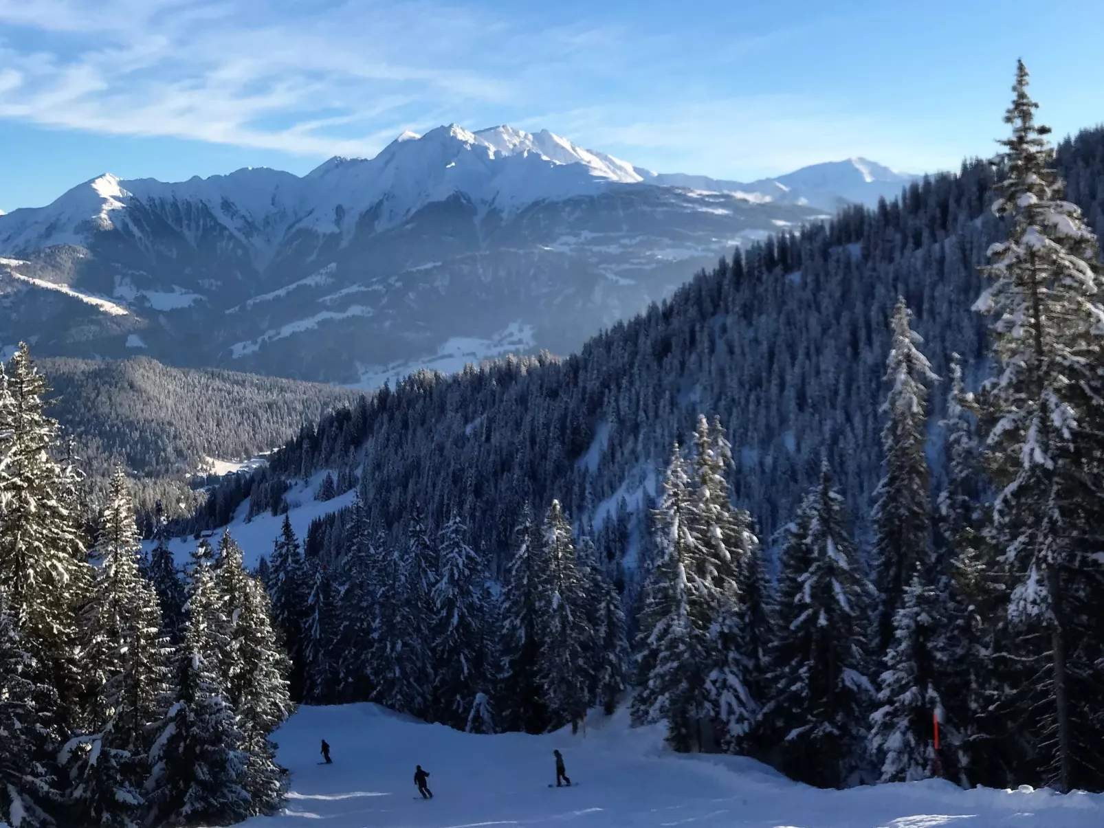 Haus Beta / Meier, (Flims Waldhaus). 3.5 Zimmerwohnung - 48 - Draußen
