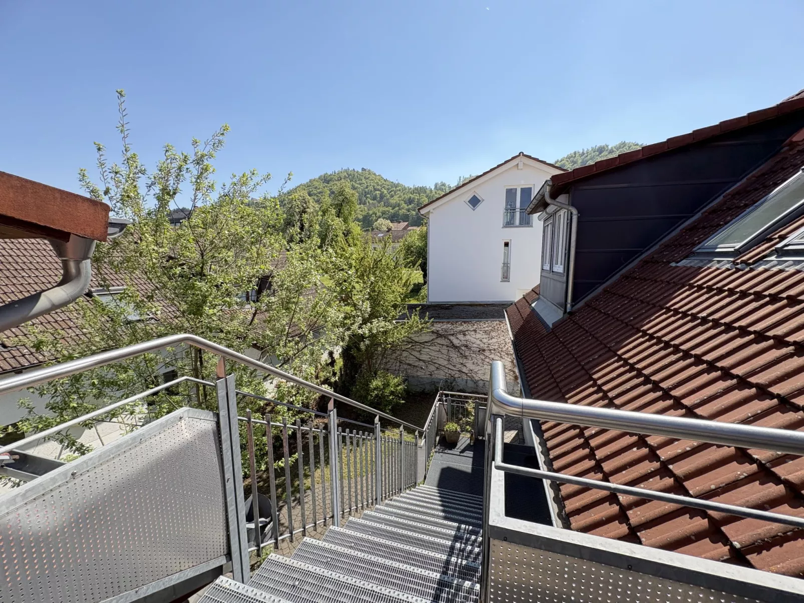 Sonnige Aussichten - Obstbau Koch - Dehors