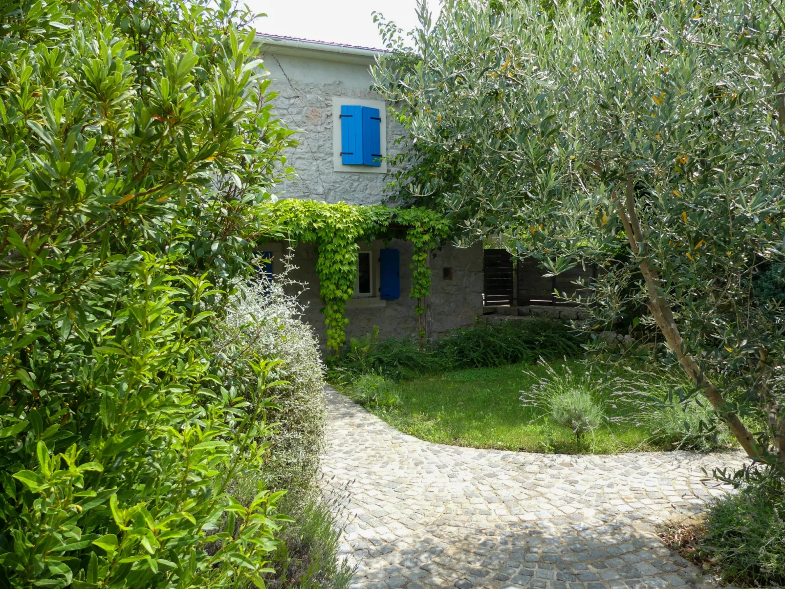 Ive - Dehors