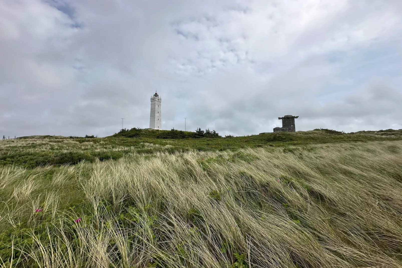 Maison de vacances pour 4 a Blåvand - Non tagué