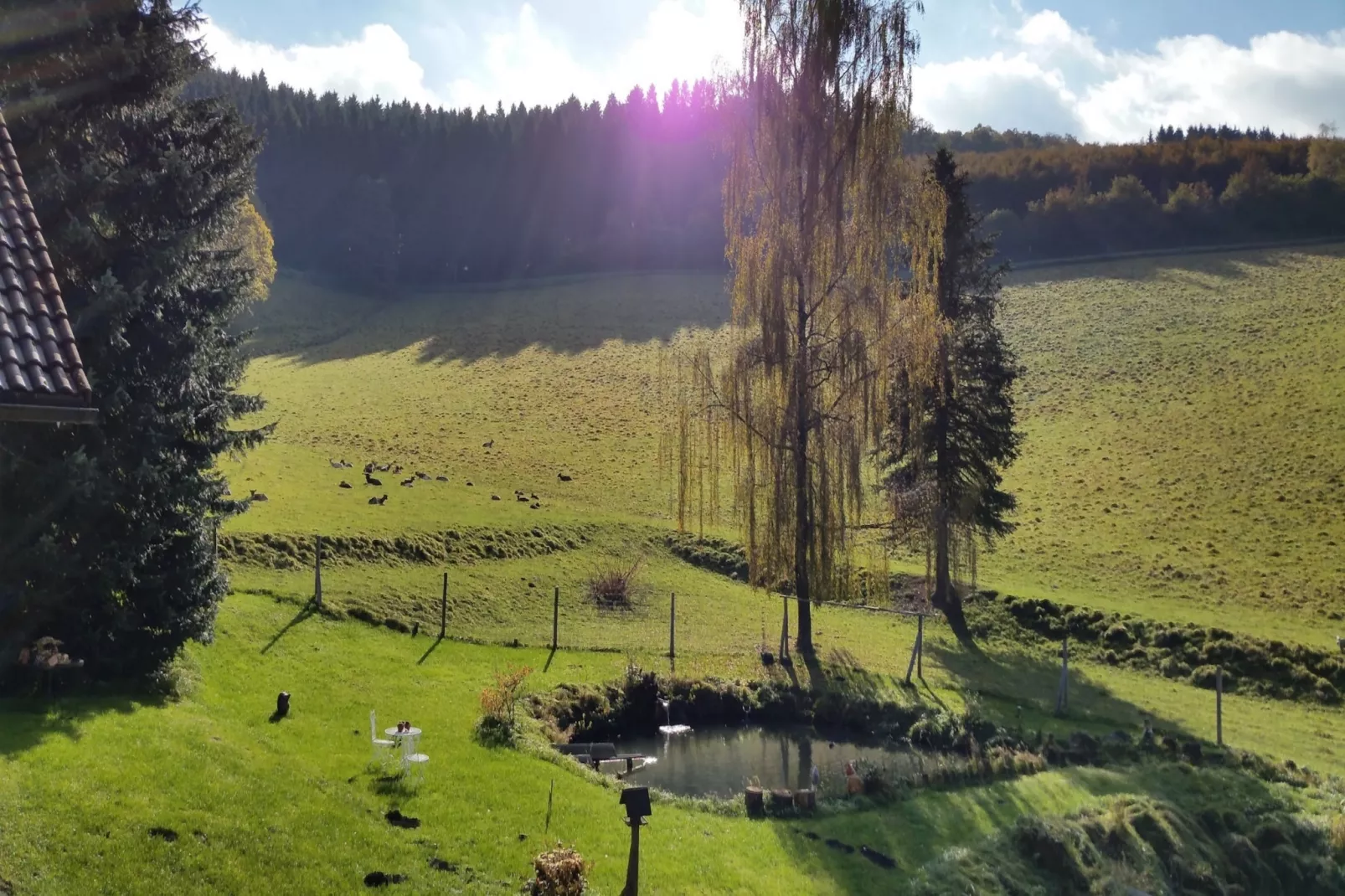 Am Damwildgehege - Aussicht Sommer