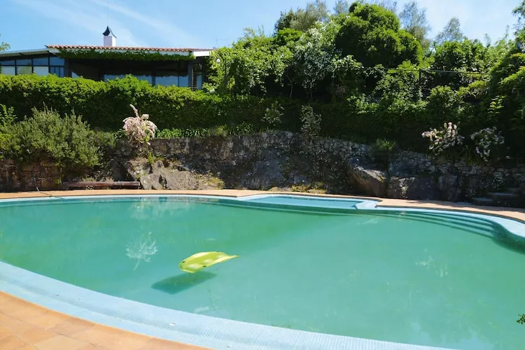 Holiday home Vale de Cambra - Piscine