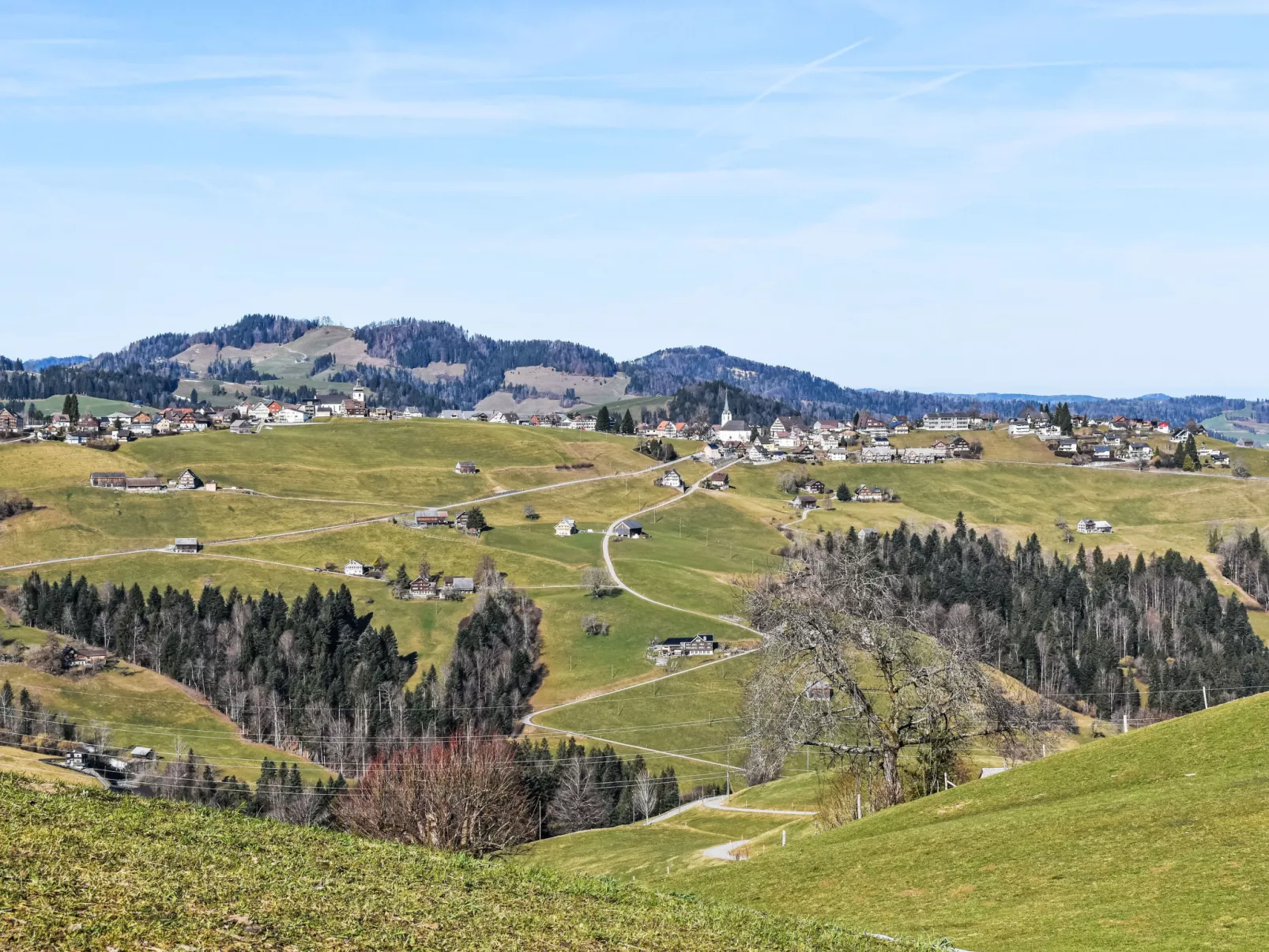 Ferienhof-Barenegg - Dehors
