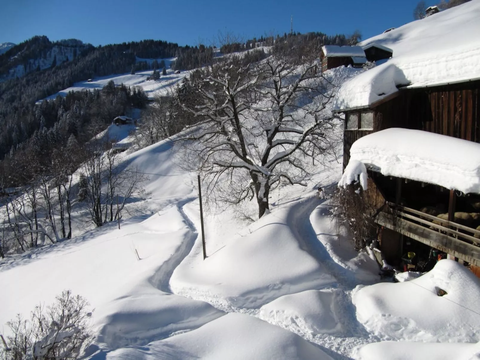 Stirnimann-Gemsch, (Valzeina). - Dehors