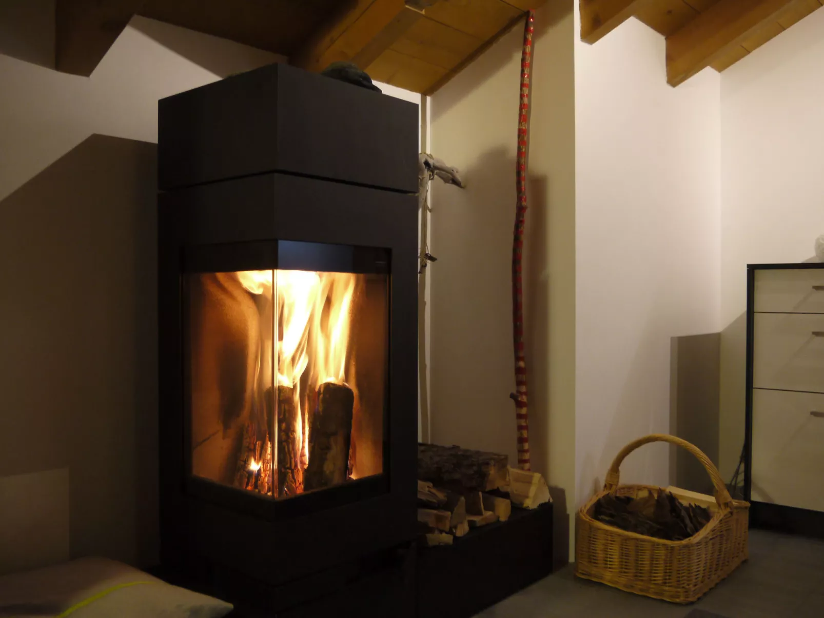 Signina Brun, Lumbrein, (Lumbrein), 48007B - Draußen