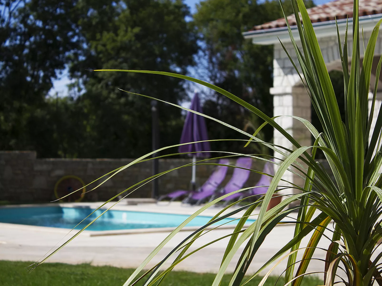 Villa Krmed - Dehors