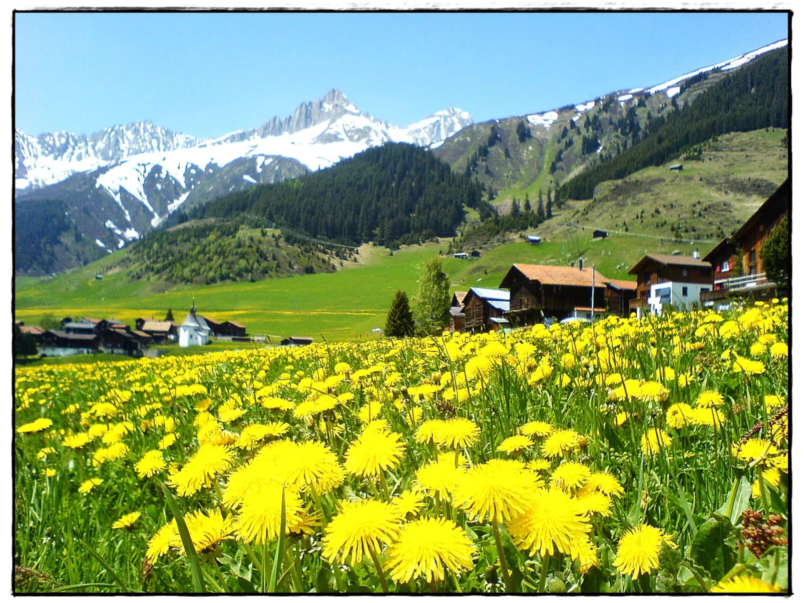 Chalet Dargun Bünter, (Camischolas/Sedrun). - Draußen