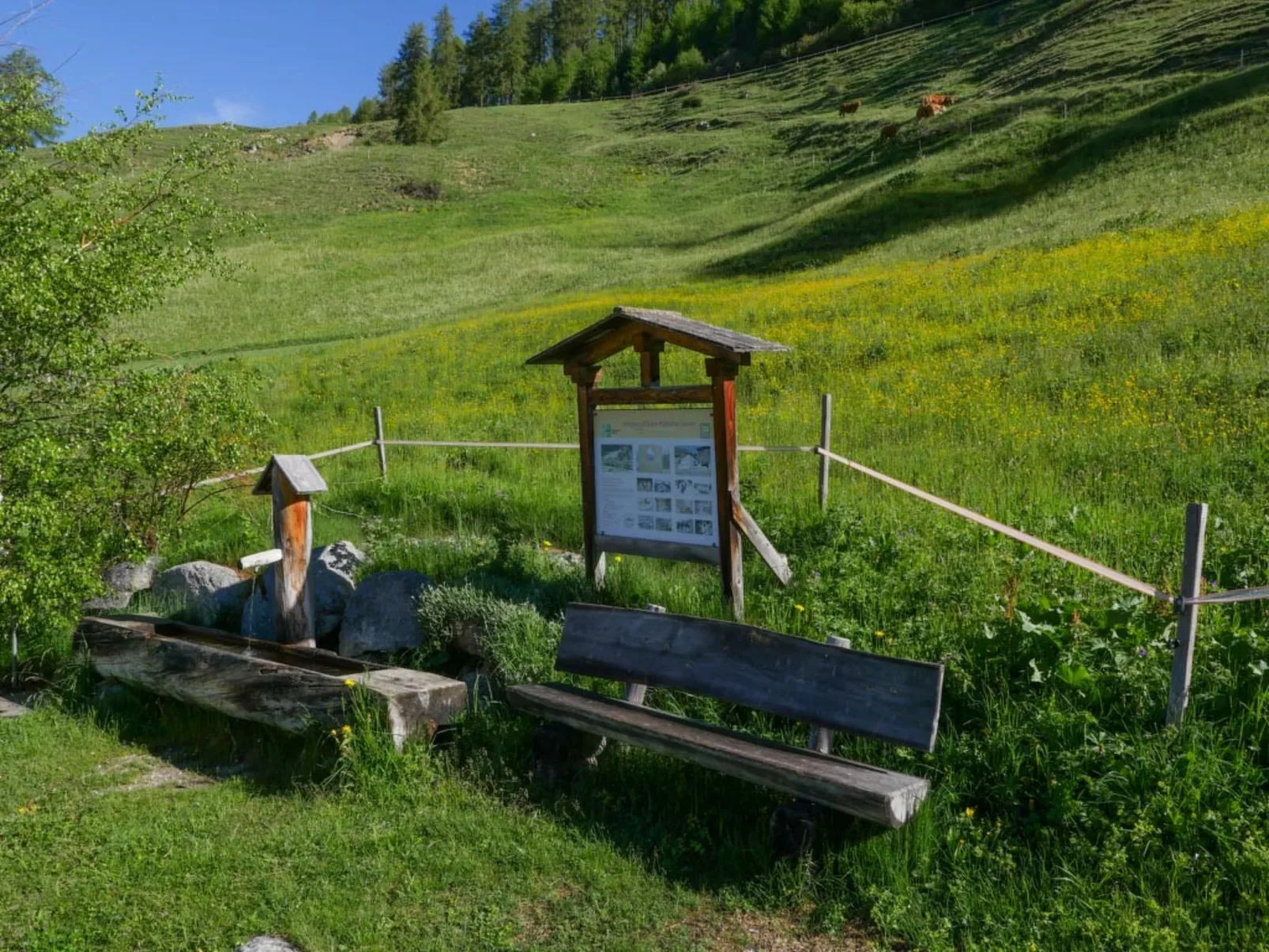 Bergblick-Craistas, (Sta. Maria - Santa Maria Val Müstair). - Dehors