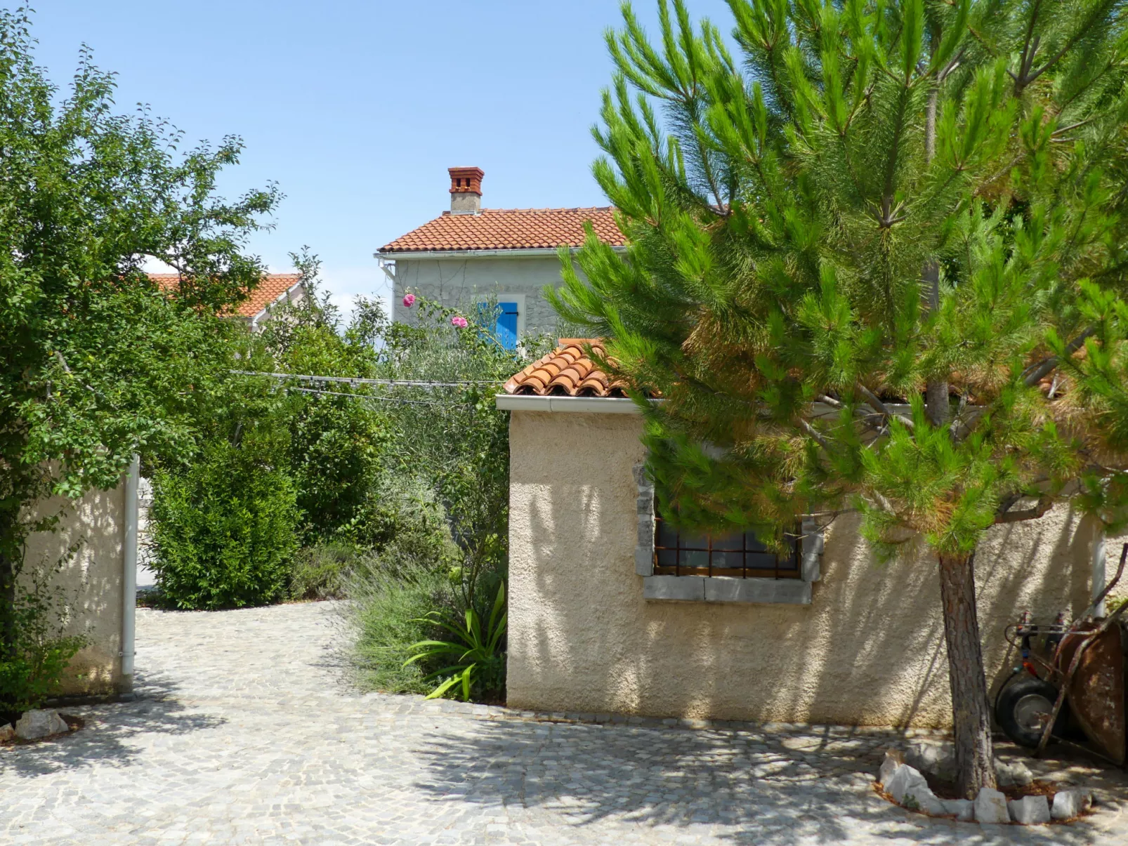 Ive - Dehors