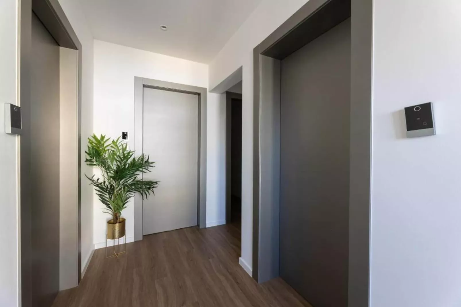 PICTAS Residence - Standard Double or Twin Room with Balcony - Hall / réception