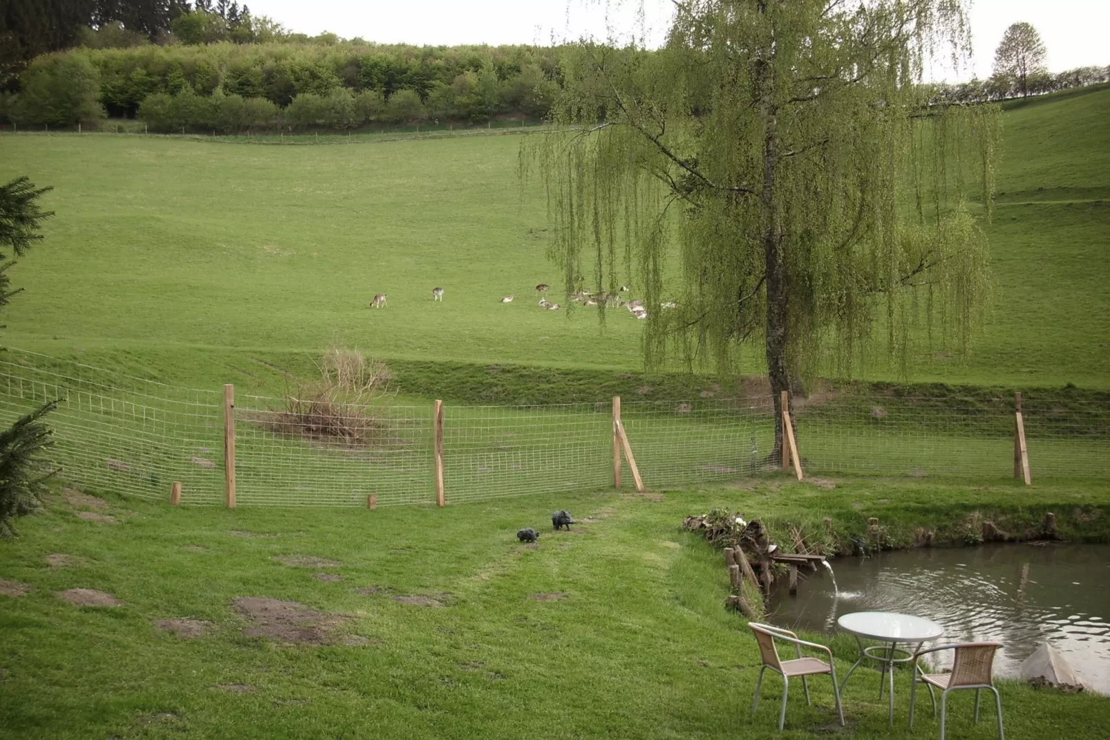Am Damwildgehege - Gebiete Sommer 1 km