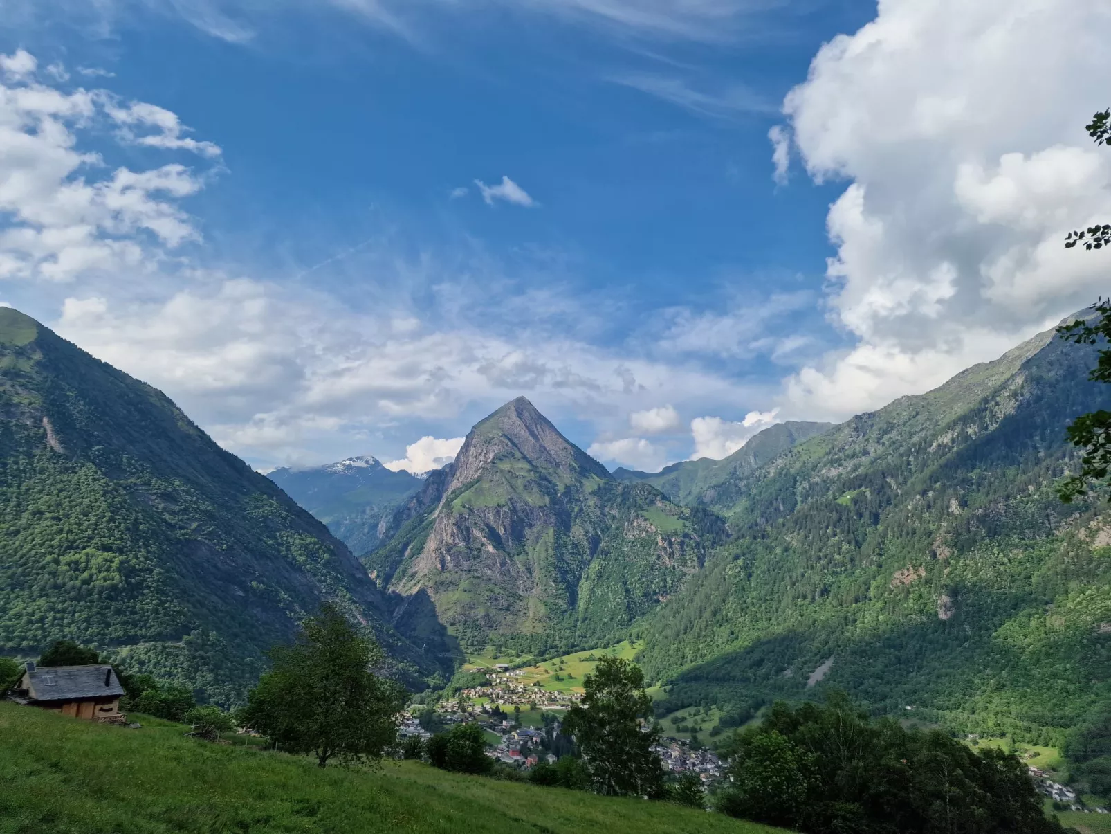 Rustico De Leoni - Area