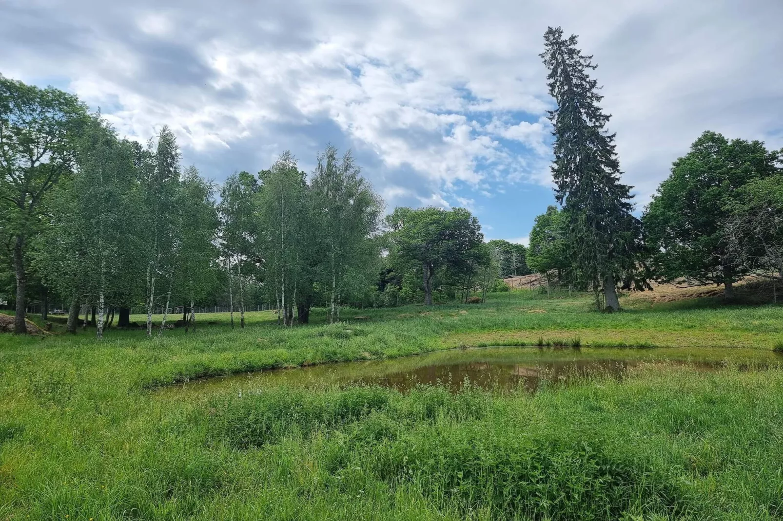 8 person holiday home in Mörlunda-By Traum - Water view