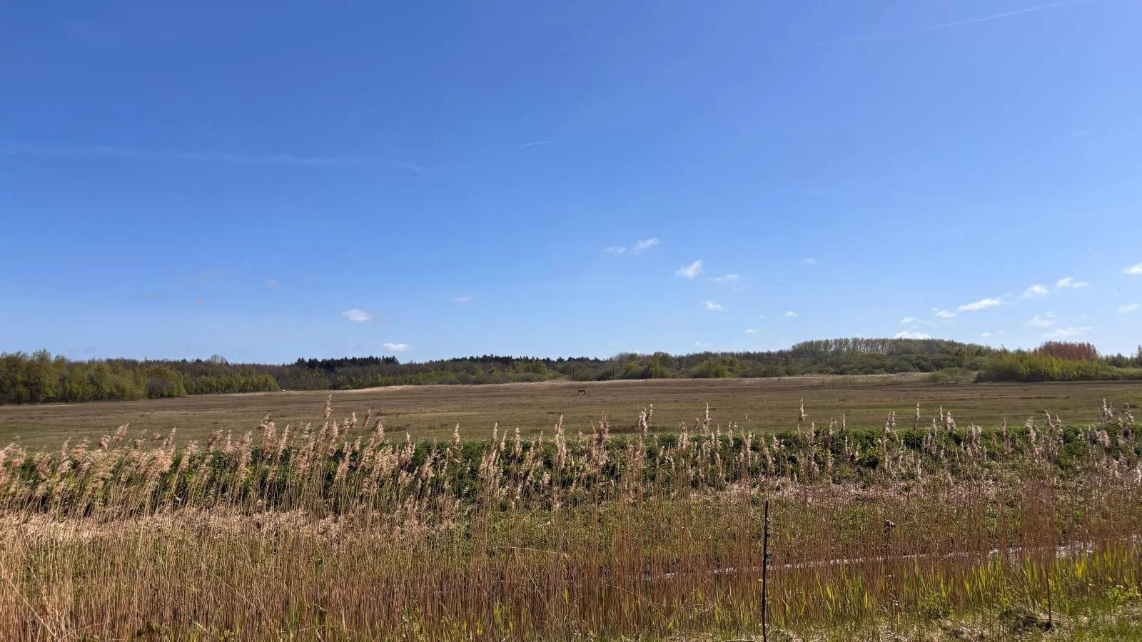 Ananda - Gebiete Sommer 1 km