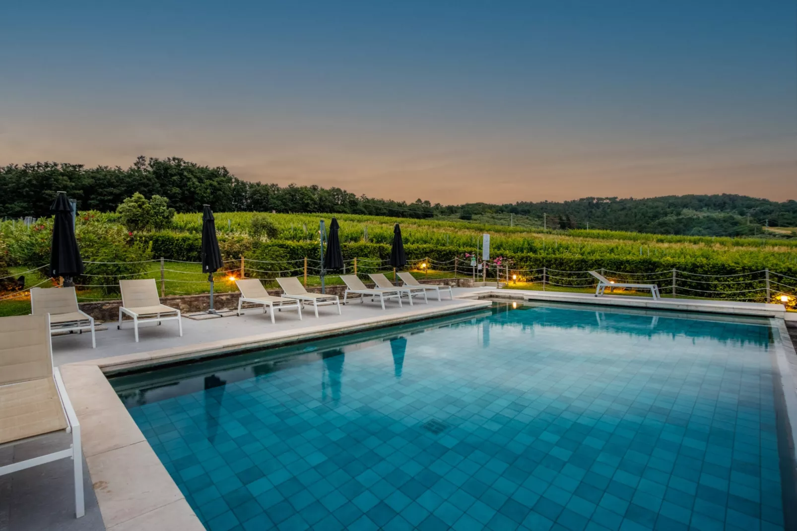 Maria Farmhouse Apartment in Wine Resort in Lucca - Schwimmbad