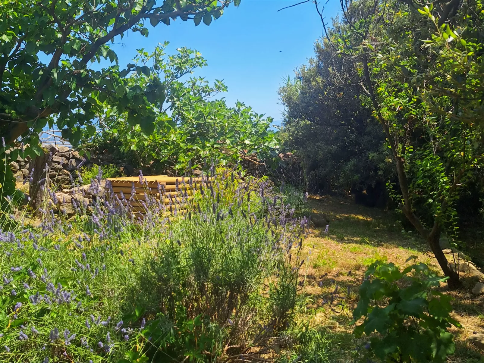 Hidden Hill - Outside