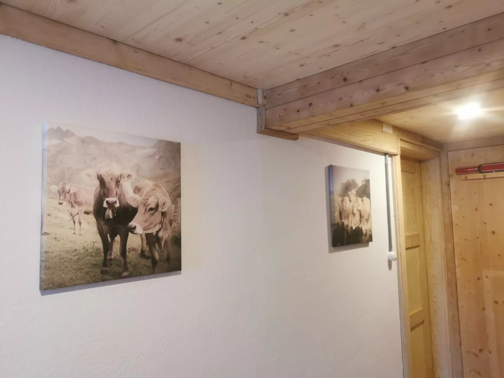 ANSAUNA appartaments, (Segnas/Disentis). - Dedans