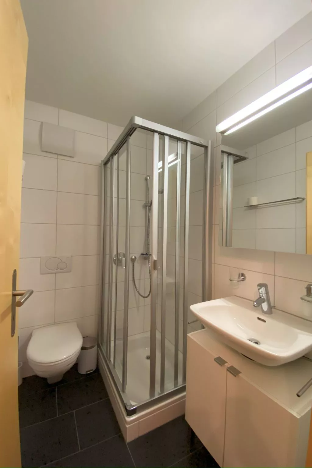 Dentervitgs, (Sedrun). - Inside