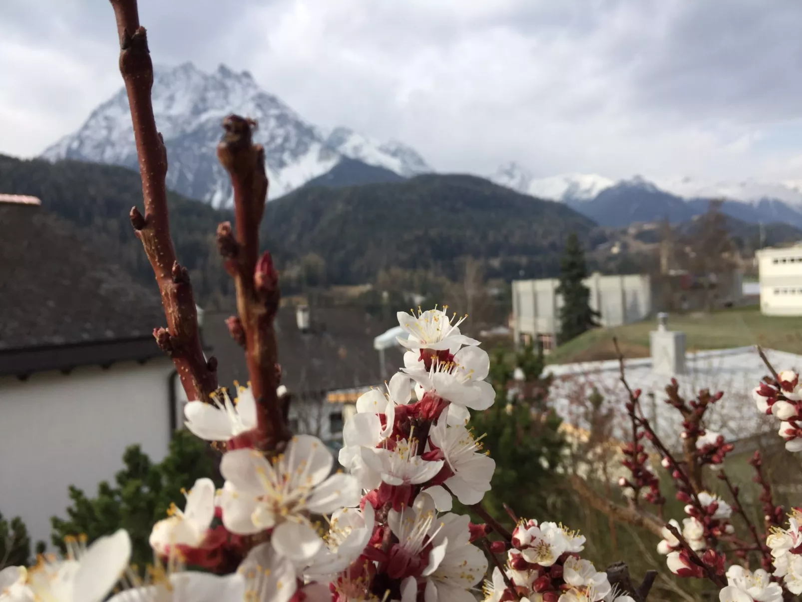 Chasa Bazzi, (Scuol). - Draußen
