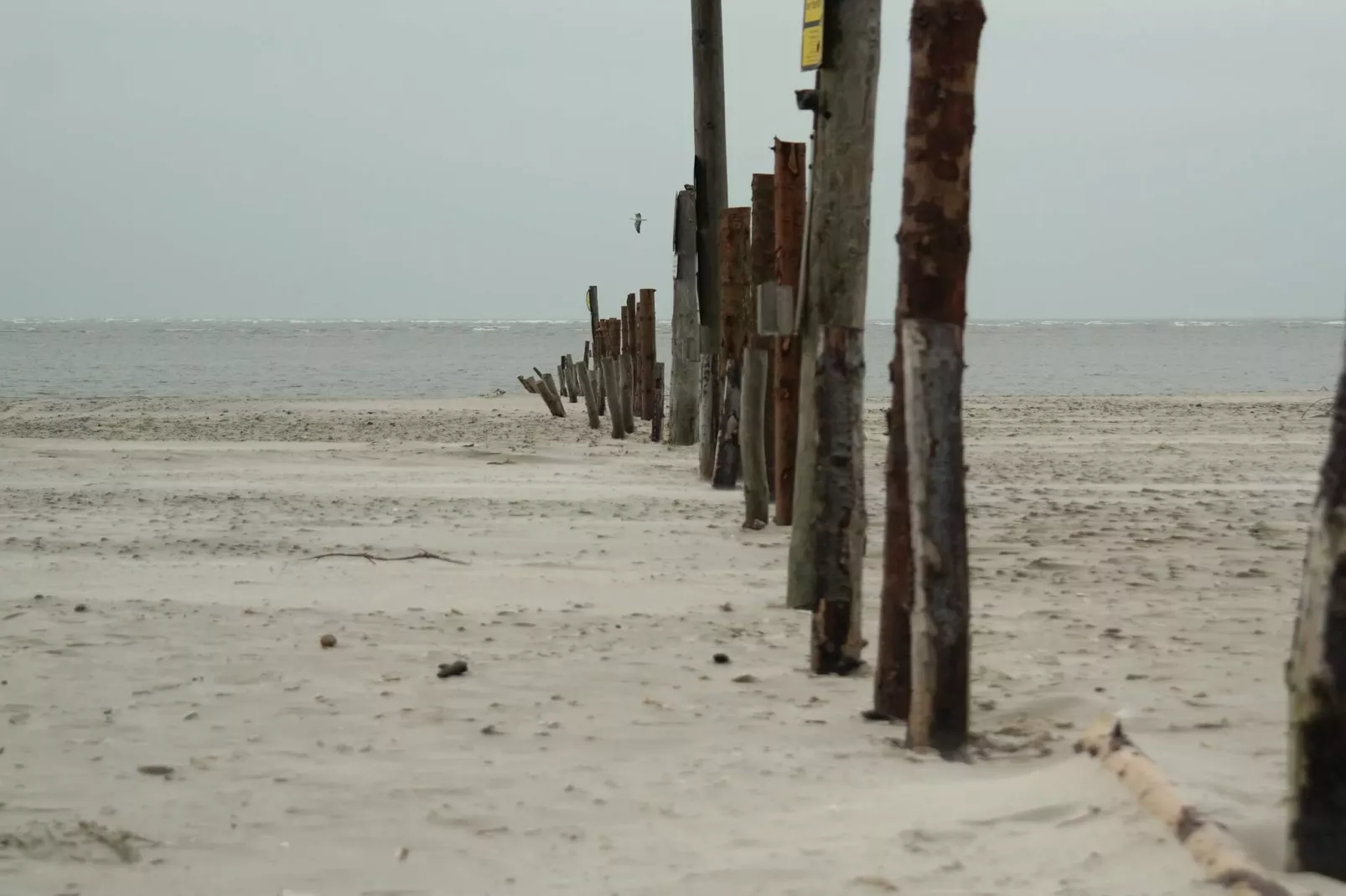 Maison de vacances pour 4 a Blåvand - Non tagué