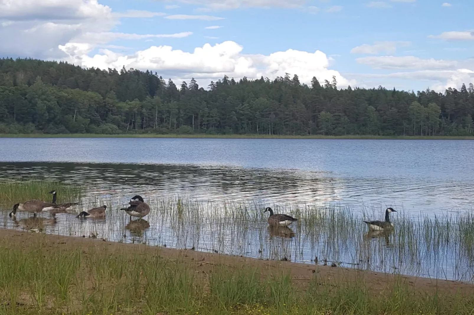 8 person holiday home in Mörlunda-By Traum - Water view