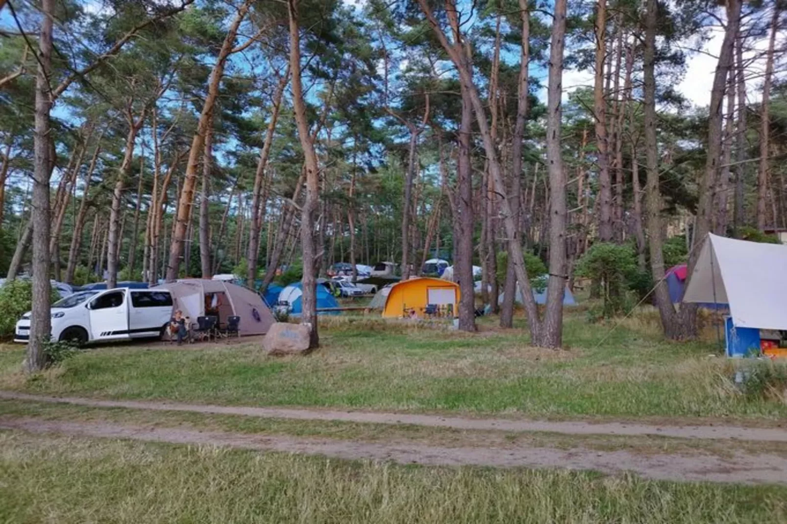 Ferienwohnung am Achterwasser Lütow 4 P - Aussicht Sommer