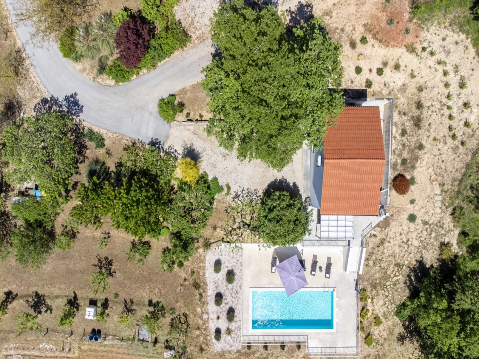Villa Forest Fairy - Dehors