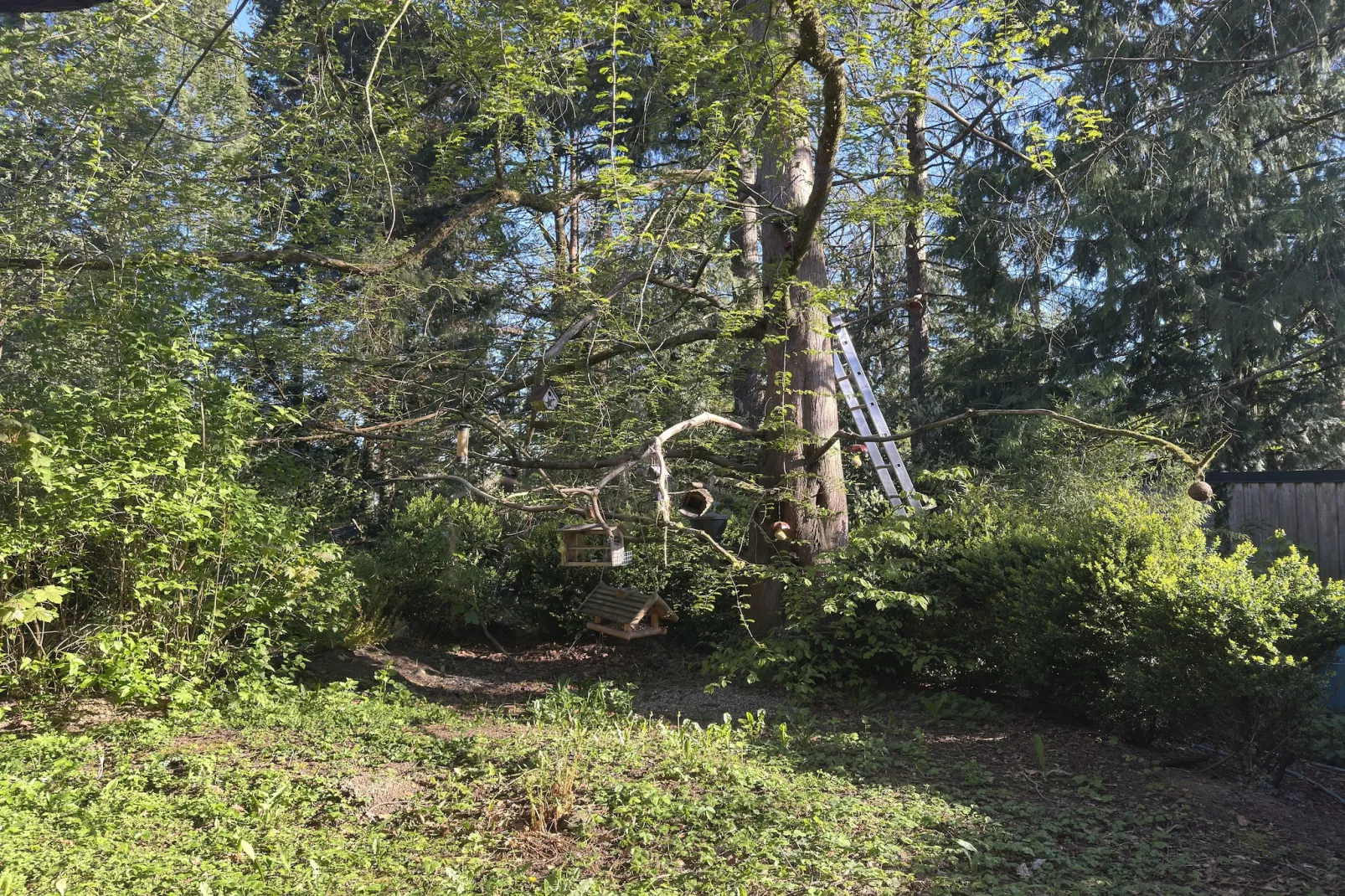 Ferienwohnung Erdgeschoss Weitblick I - View in summer