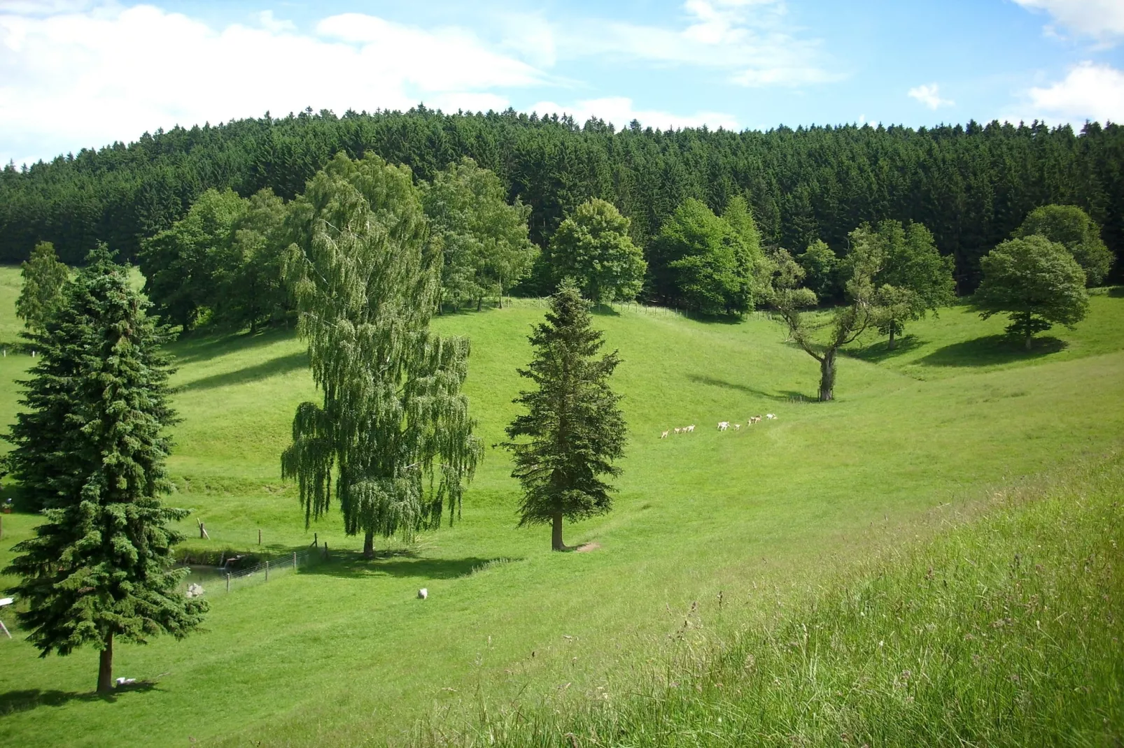Am Damwildgehege - Gebiete Sommer 5 km