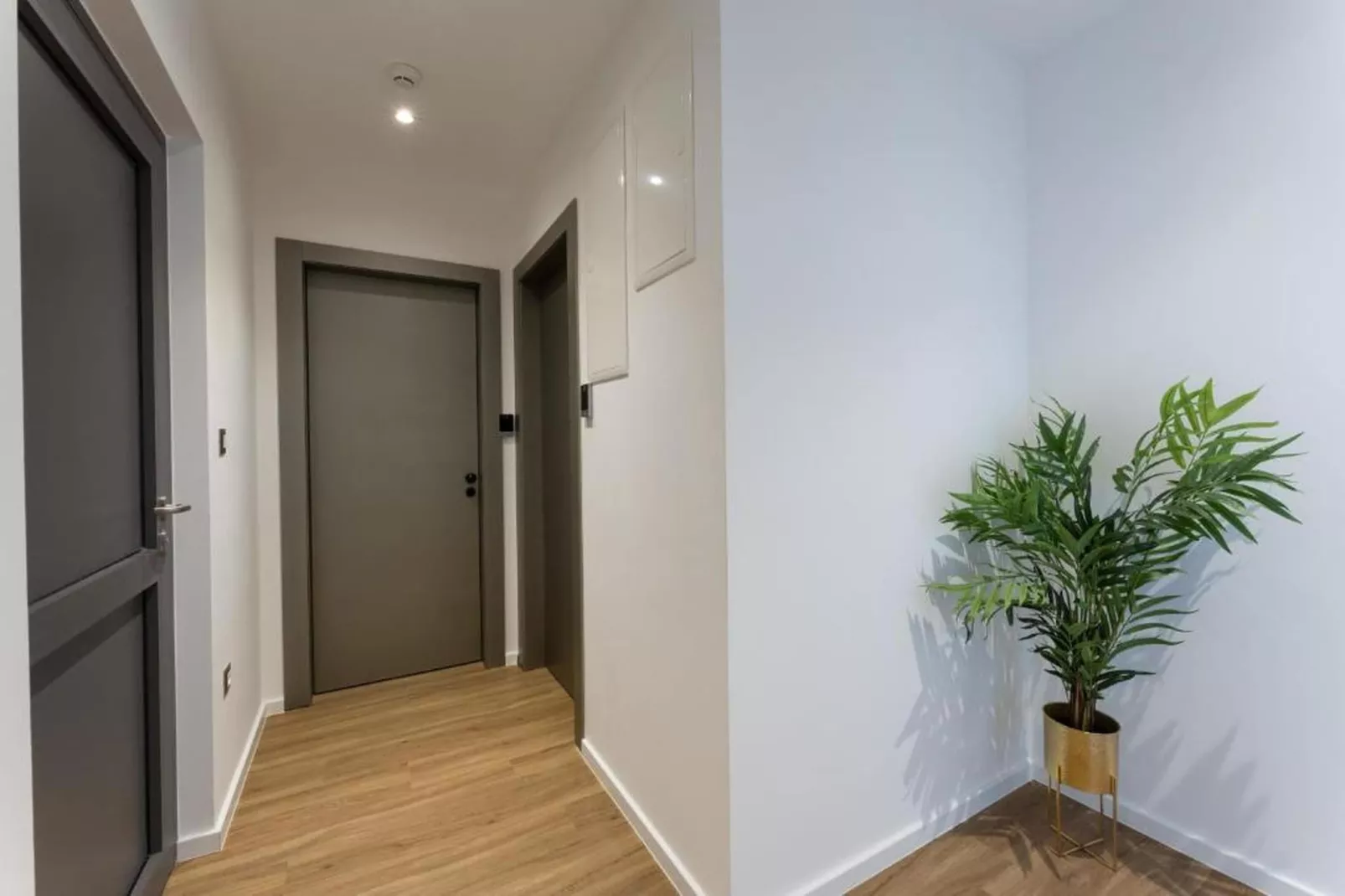 PICTAS Residence - Superior Double or Twin Room with Terrace - Empfangshalle