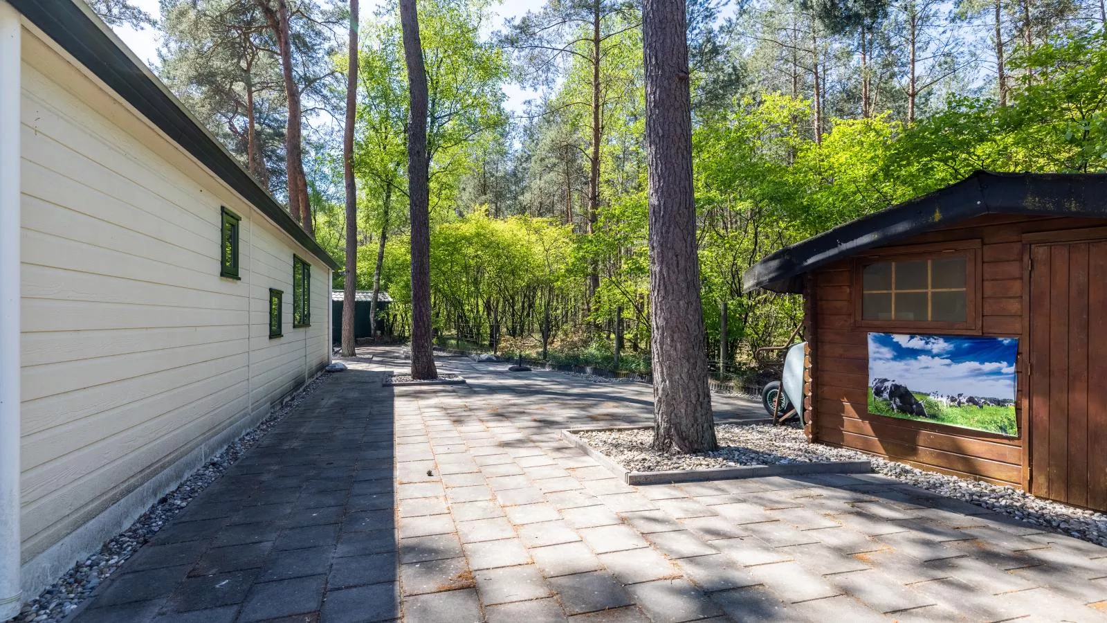 Herfstblos - Garten Sommer