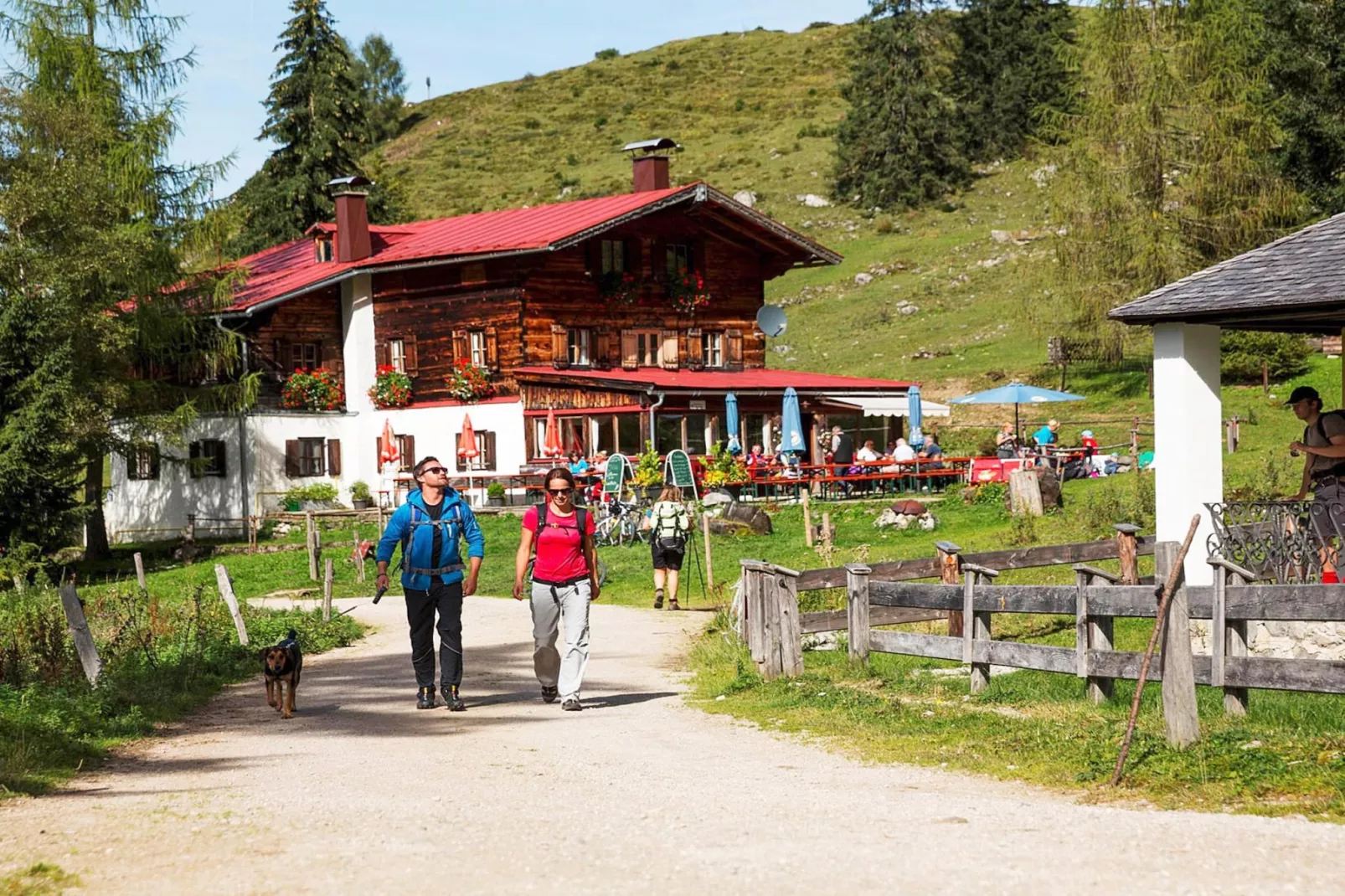 Ferienhaus Fankhaus - Areas within 1km in summer