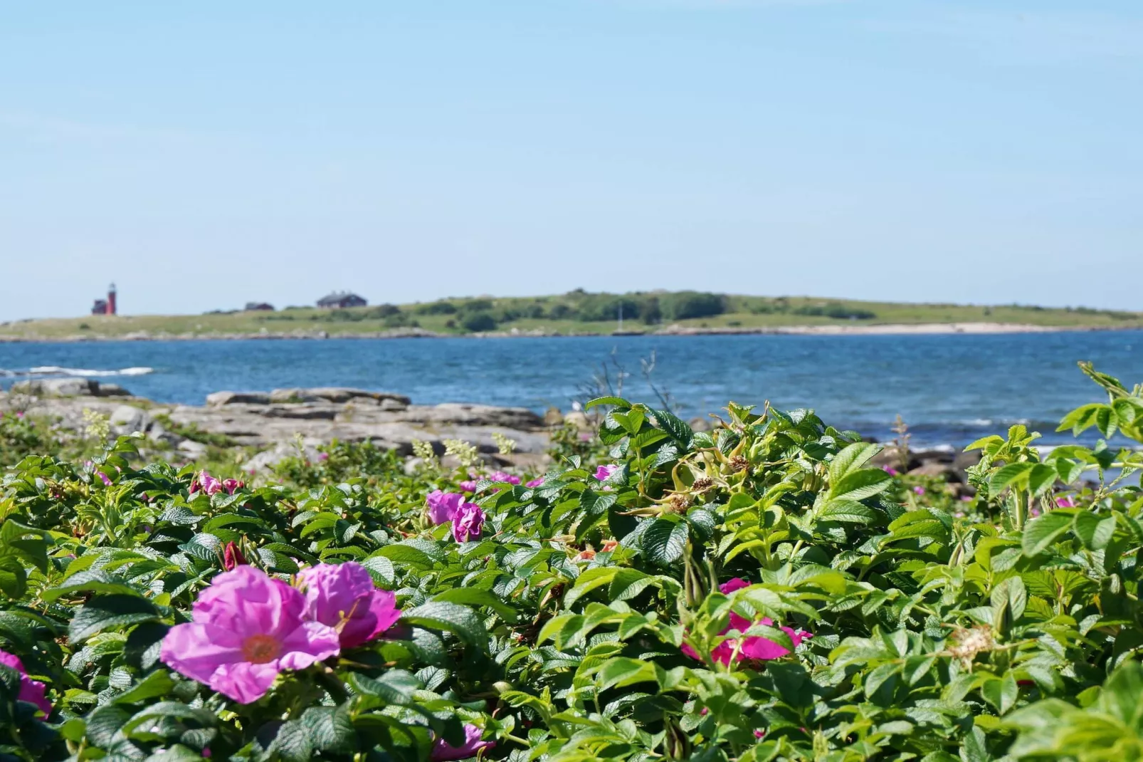 4 etoiles maison de vacances a Halmstad - Non tagué