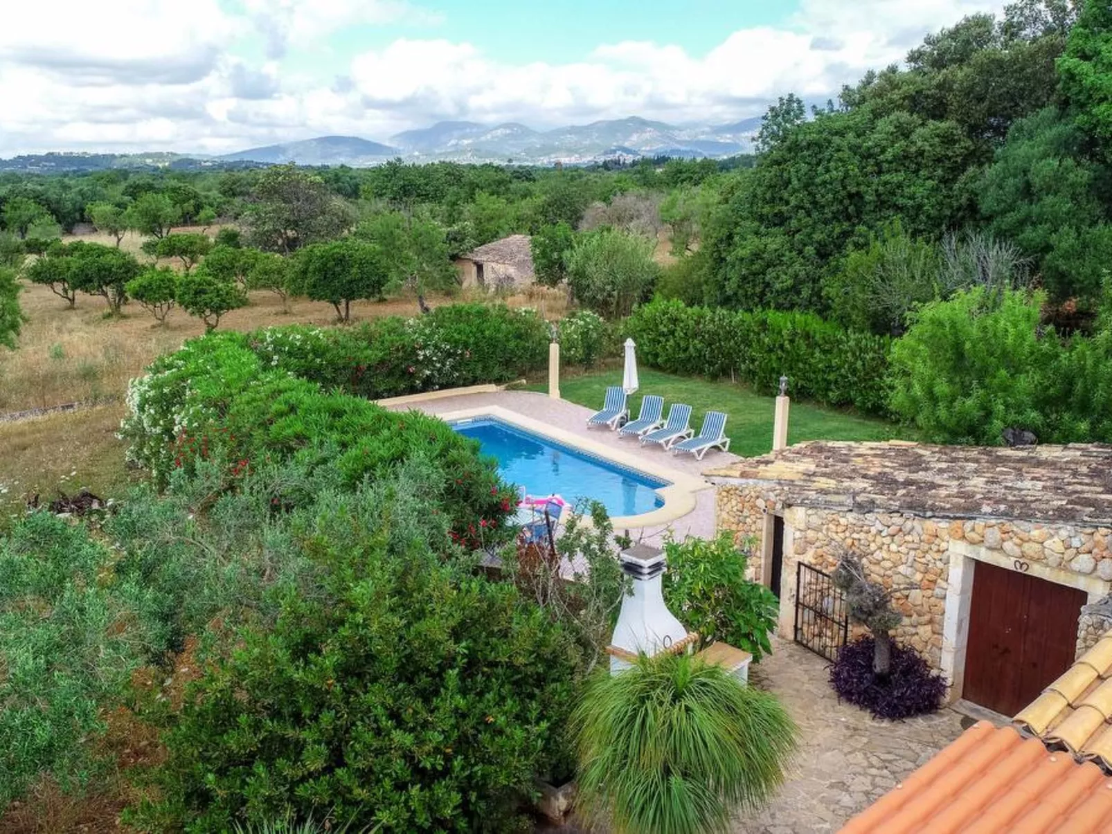 Higuera - Dehors