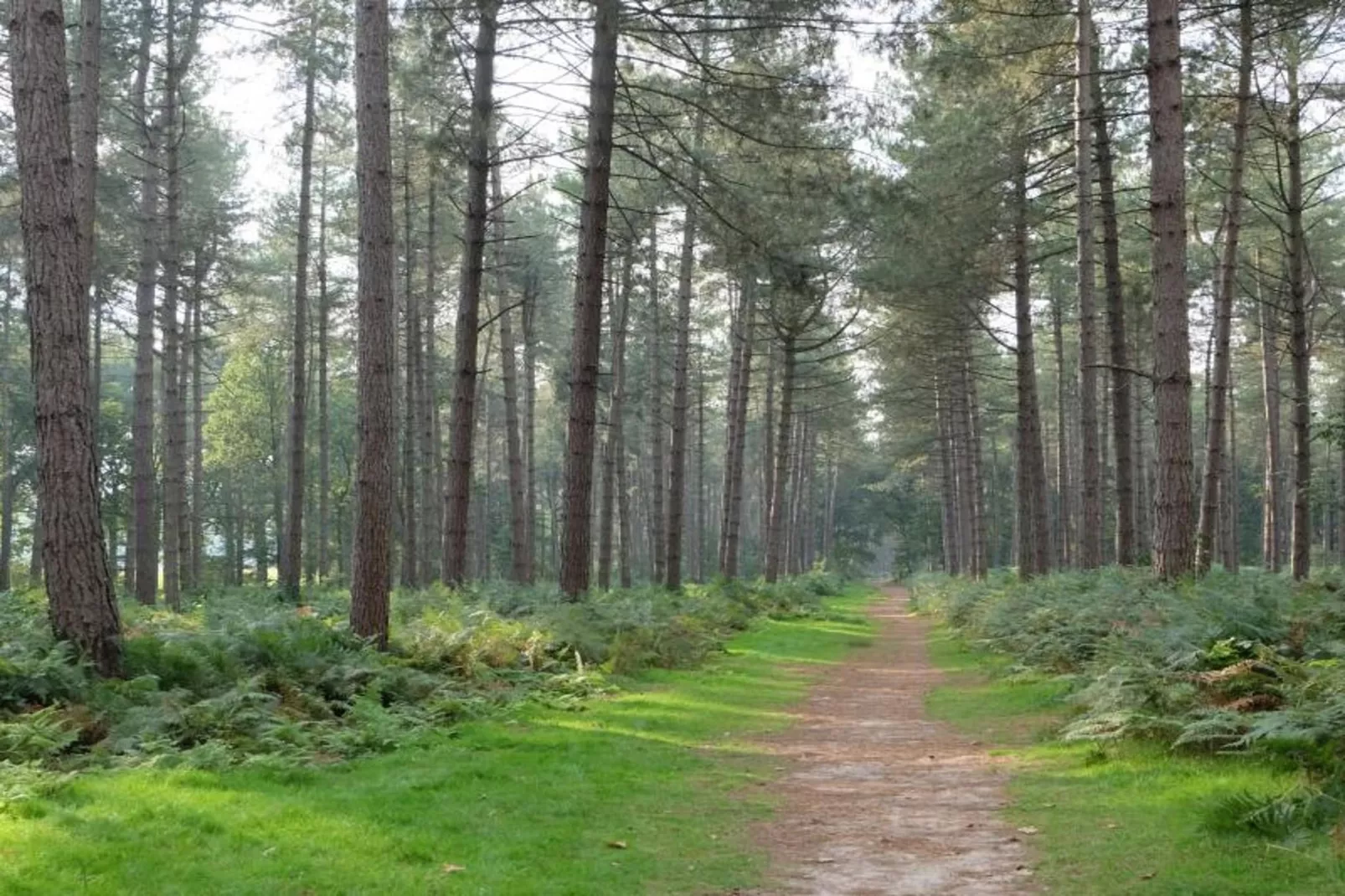 Caravan Bosrand Lembeke 2 - Gebiete Sommer 5 km