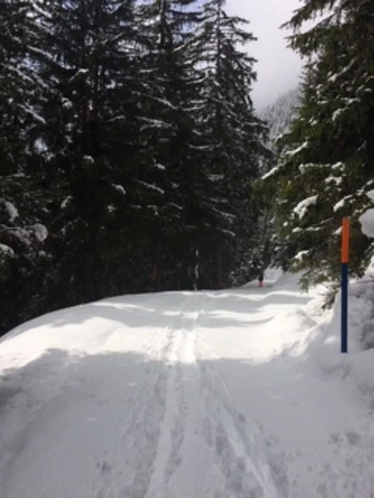 La Sclarida Kissling, (Segnas/Disentis). - Draußen