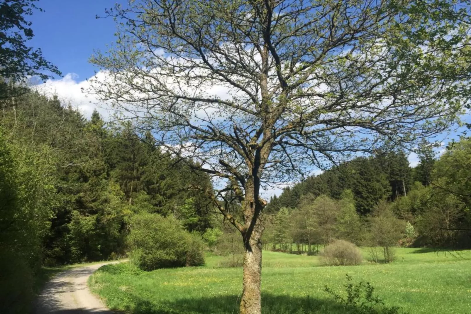 Am Damwildgehege - Gebiete Sommer 20 km