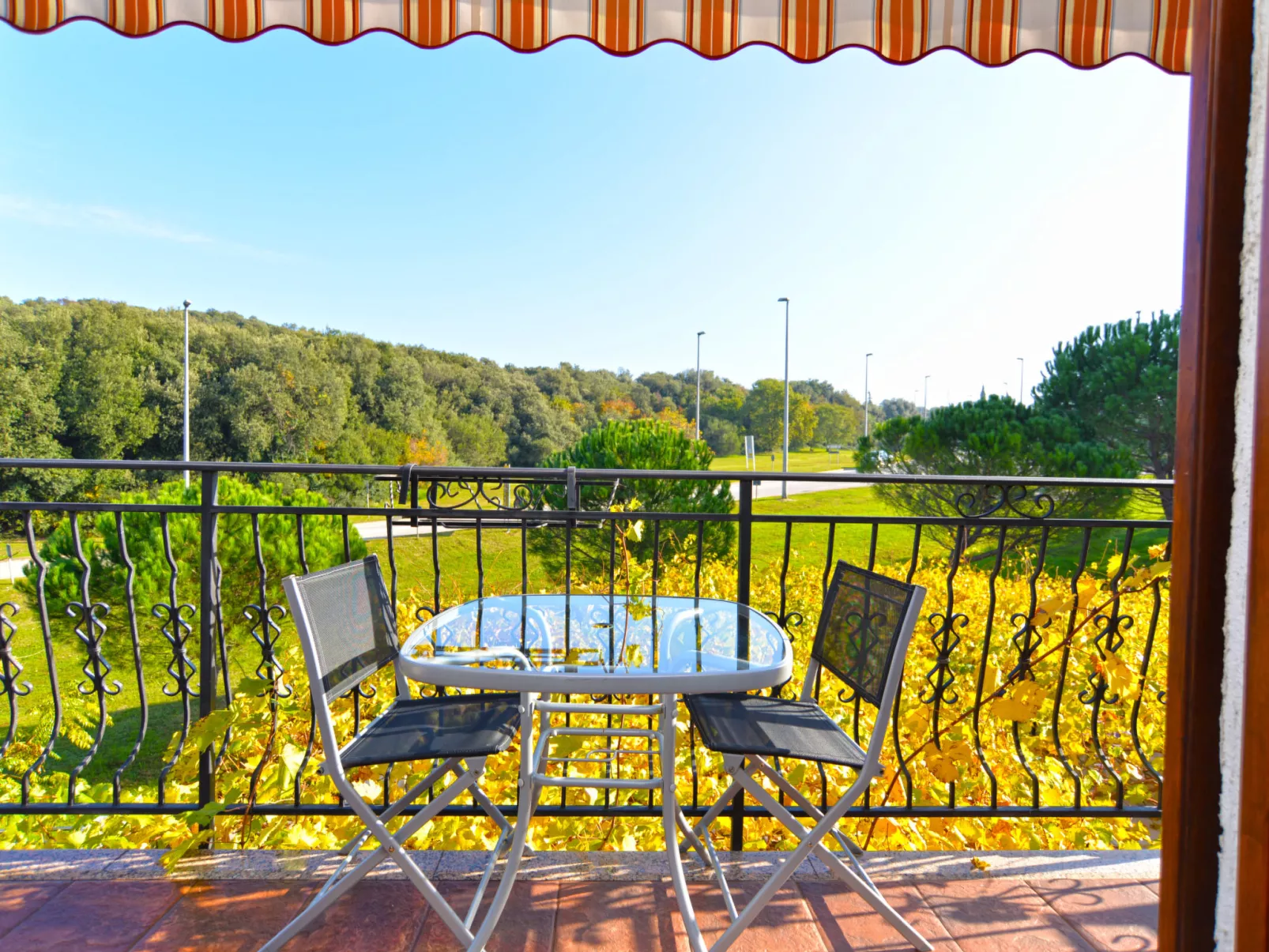 Apartment 1299 - Dehors