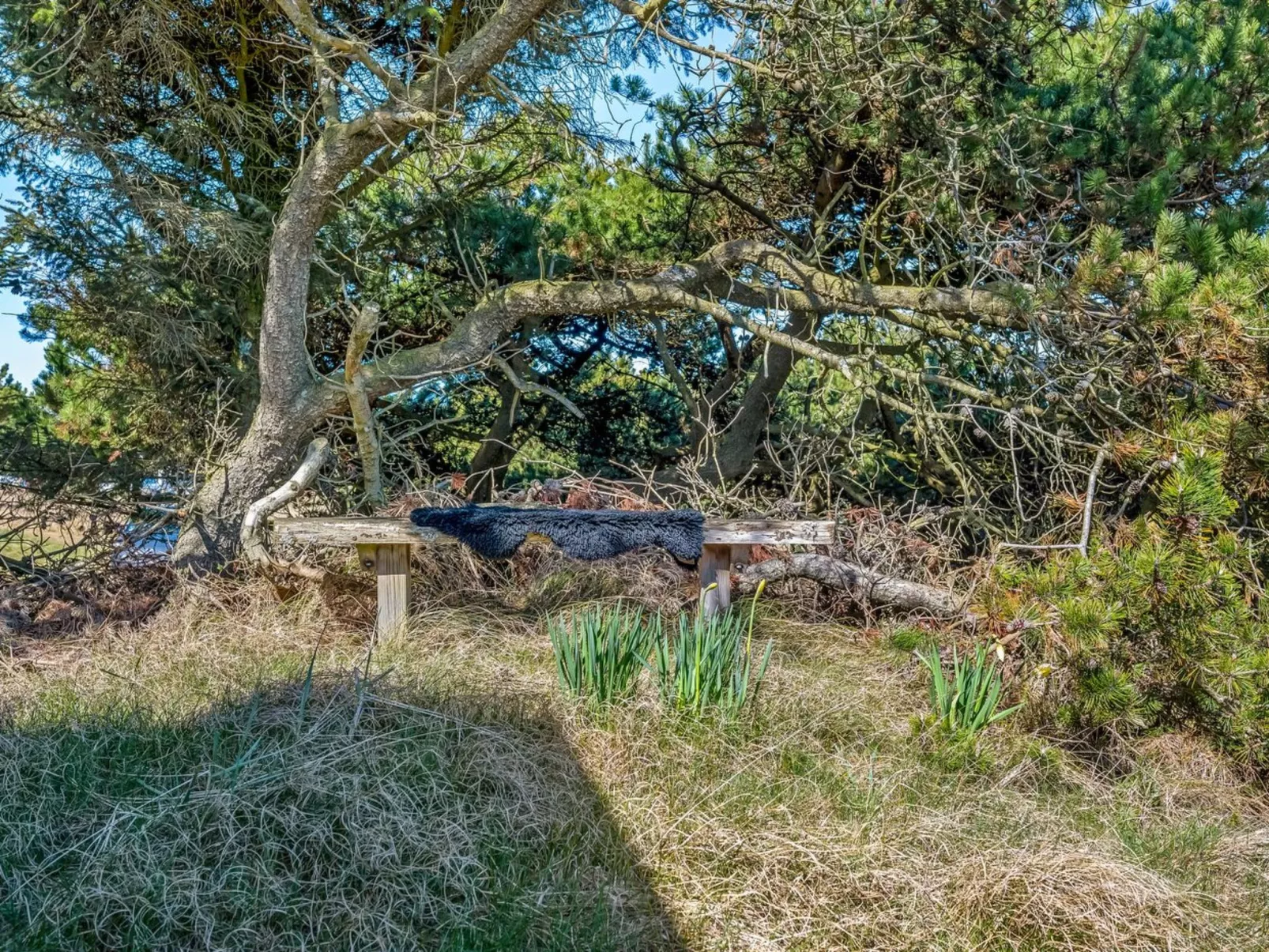 "Aiden" - 650m from the sea - Draußen