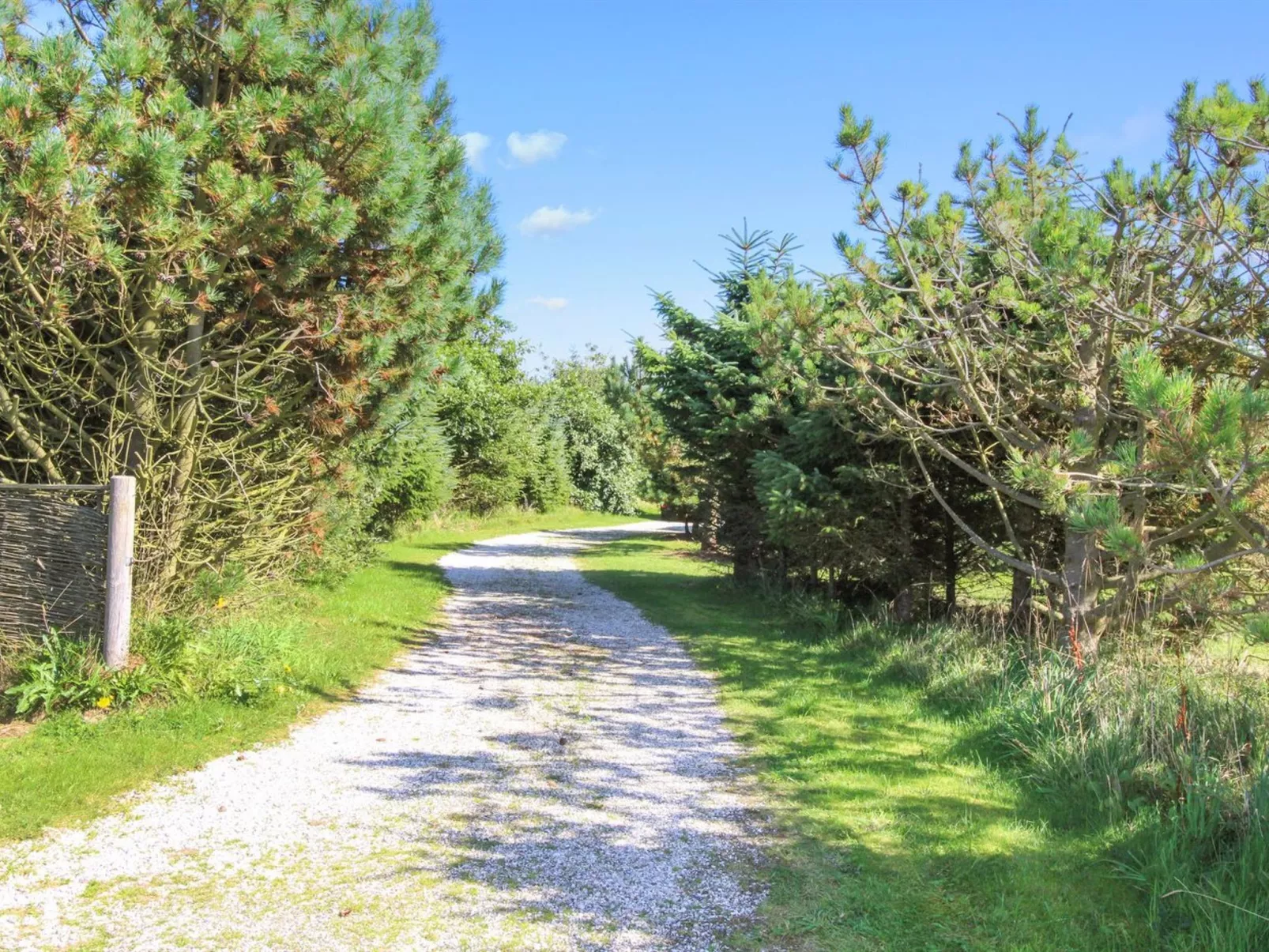 "Ilya" - 900m from the sea - Dehors