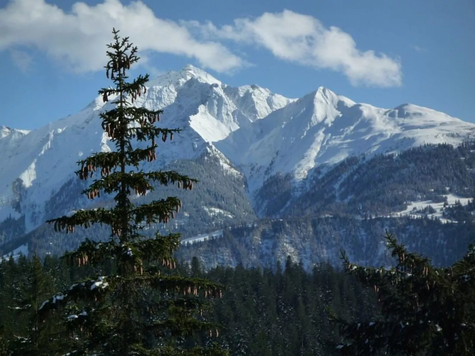 Mountain View Val Mulin 8, (Laax Murschetg), 276 - Outside