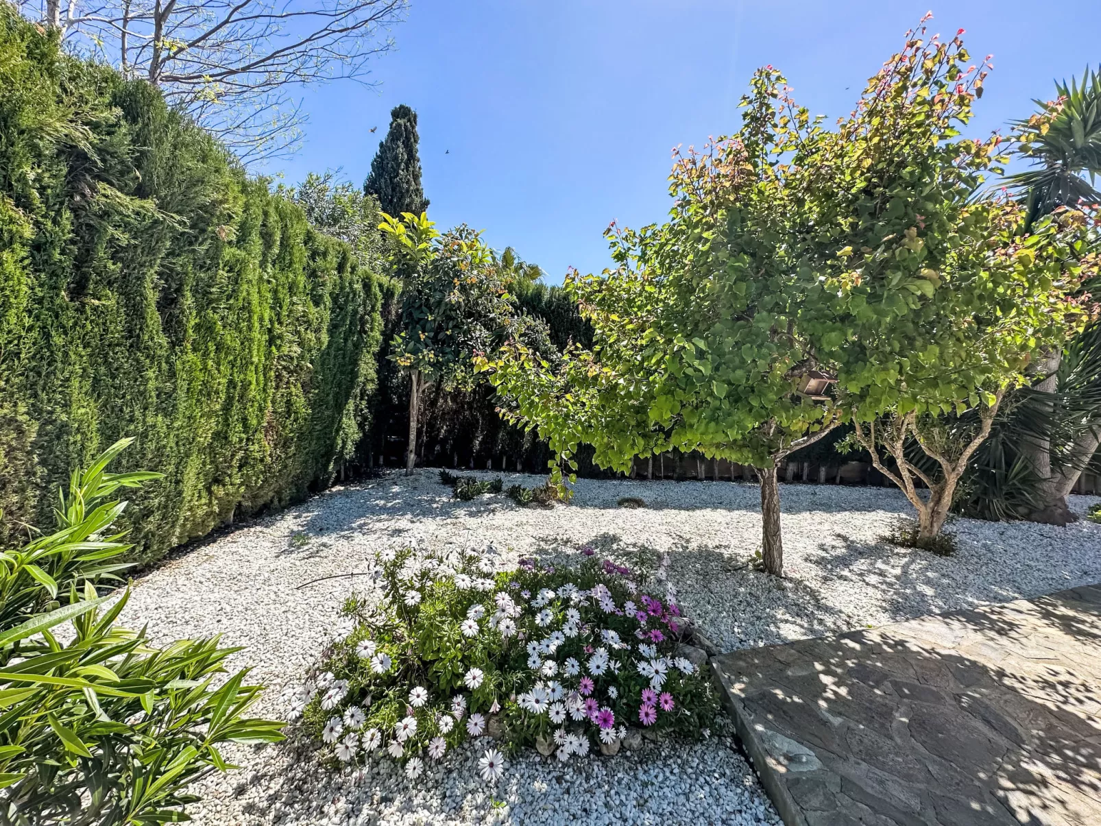 Villa Esmeralda - Dehors