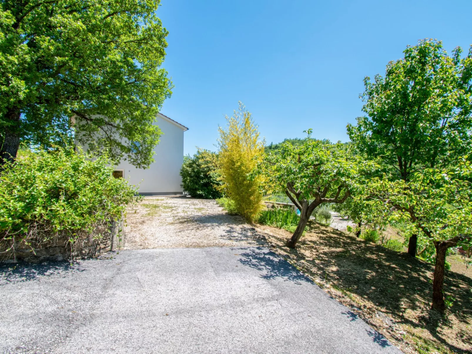 Villa Forest Fairy - Dehors